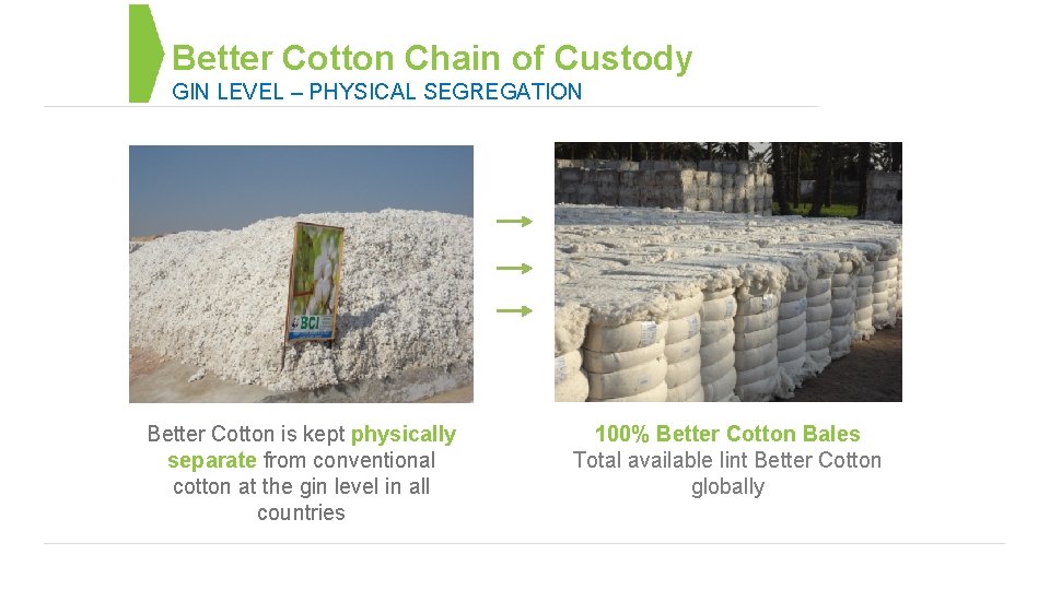 Better Cotton Chain of Custody GIN LEVEL – PHYSICAL SEGREGATION Better Cotton is kept