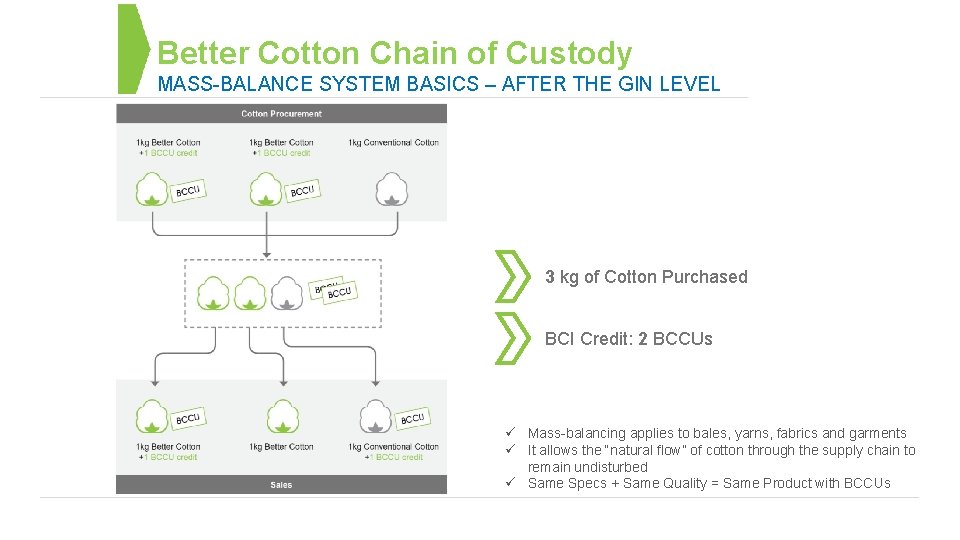 Better Cotton Chain of Custody MASS-BALANCE SYSTEM BASICS – AFTER THE GIN LEVEL 3