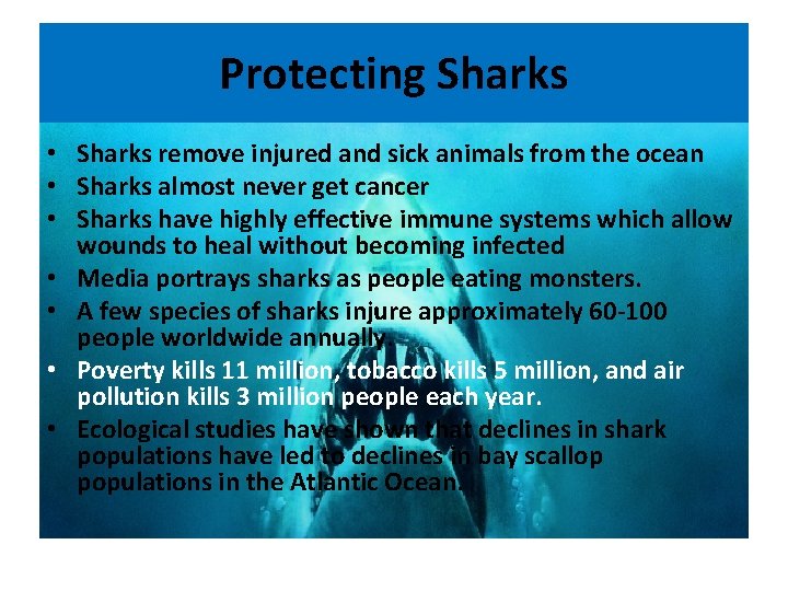 Protecting Sharks • Sharks remove injured and sick animals from the ocean • Sharks