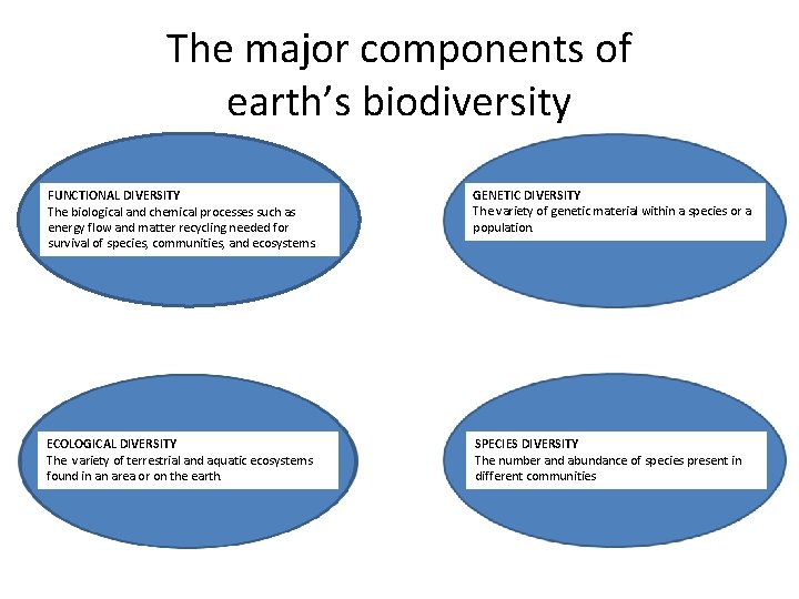 The major components of earth’s biodiversity FUNCTIONAL DIVERSITY The biological and chemical processes such