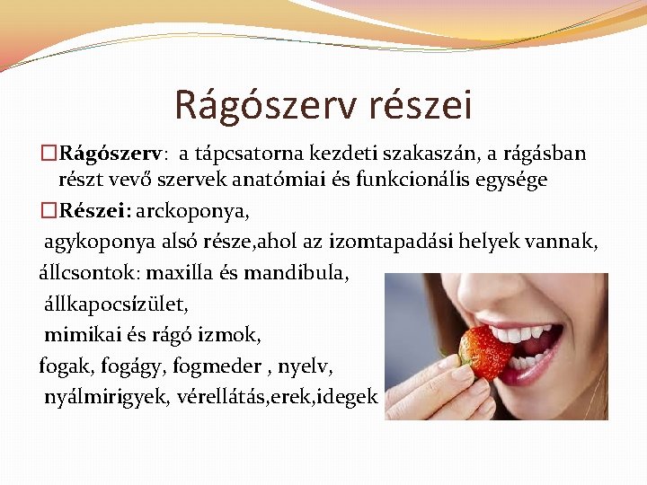 Rágószerv részei �Rágószerv: a tápcsatorna kezdeti szakaszán, a rágásban részt vevő szervek anatómiai és