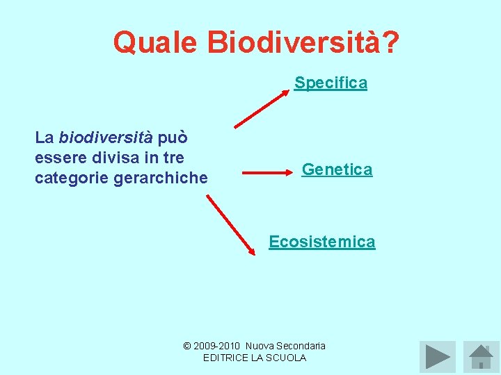 Quale Biodiversità? Specifica La biodiversità può essere divisa in tre categorie gerarchiche Genetica Ecosistemica