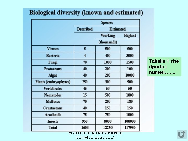Tabella 1 che riporta i numeri……. © 2009 -2010 Nuova Secondaria EDITRICE LA SCUOLA