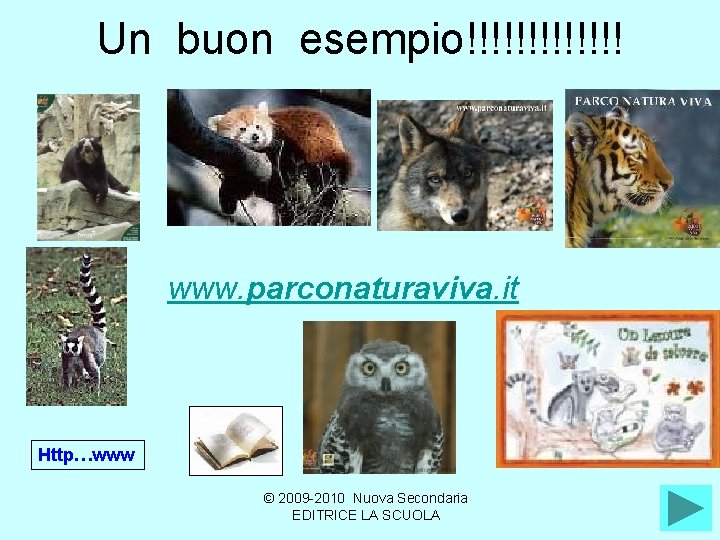 Un buon esempio!!!!!!! • www. parconaturaviva. it Http…www © 2009 -2010 Nuova Secondaria EDITRICE