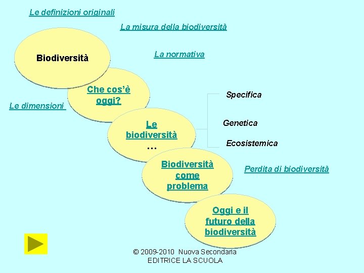 Le definizioni originali La misura della biodiversità La normativa Biodiversità Le dimensioni Che cos’è