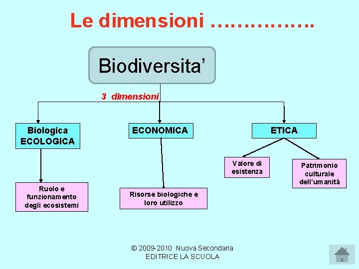 Le dimensioni ……………. Biodiversita’ 3 dimensioni Biologica ECOLOGICA ECONOMICA ETICA Valore di esistenza Ruolo