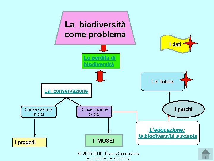 La biodiversità come problema I dati La perdita di biodiversità La tutela La conservazione