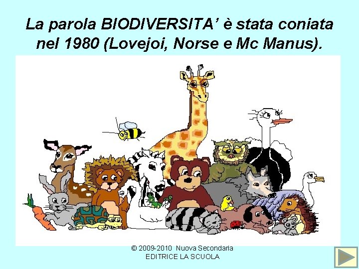 La parola BIODIVERSITA’ è stata coniata nel 1980 (Lovejoi, Norse e Mc Manus). ©