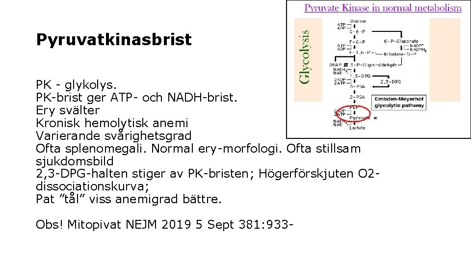 Pyruvatkinasbrist PK - glykolys. PK-brist ger ATP- och NADH-brist. Ery svälter Kronisk hemolytisk anemi