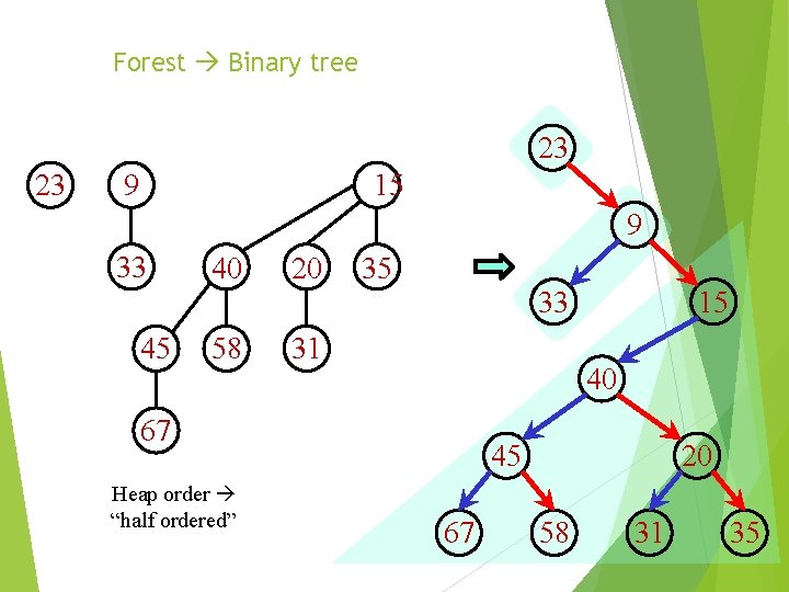 Forest Binary tree 23 23 15 9 9 33 45 40 20 58 31