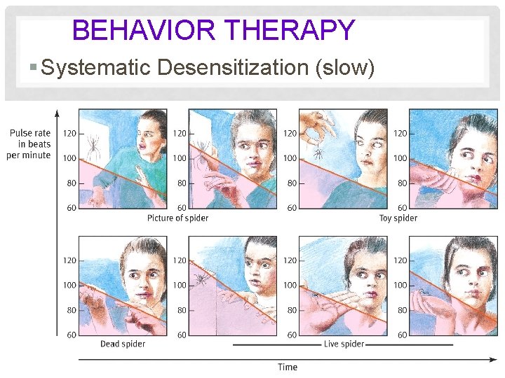BEHAVIOR THERAPY § Systematic Desensitization (slow) 