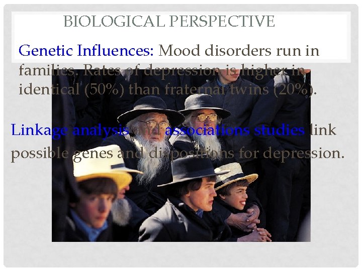 BIOLOGICAL PERSPECTIVE Genetic Influences: Mood disorders run in families. Rates of depression is higher