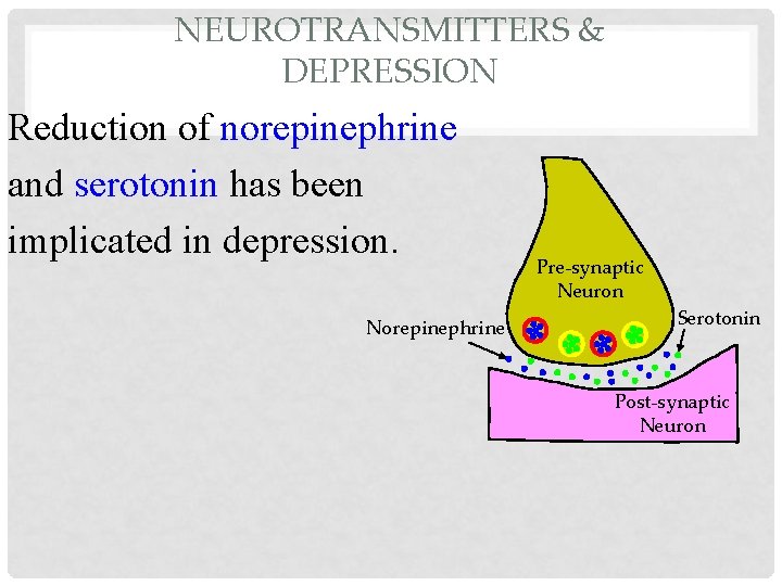 NEUROTRANSMITTERS & DEPRESSION Reduction of norepinephrine and serotonin has been implicated in depression. Norepinephrine