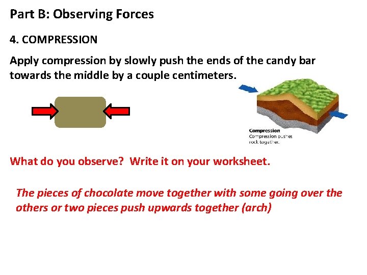 Part B: Observing Forces 4. COMPRESSION Apply compression by slowly push the ends of