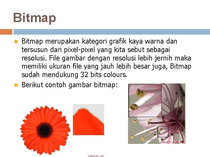 Bitmap merupakan kategori grafik kaya warna dan tersusun dari pixel-pixel yang kita sebut sebagai
