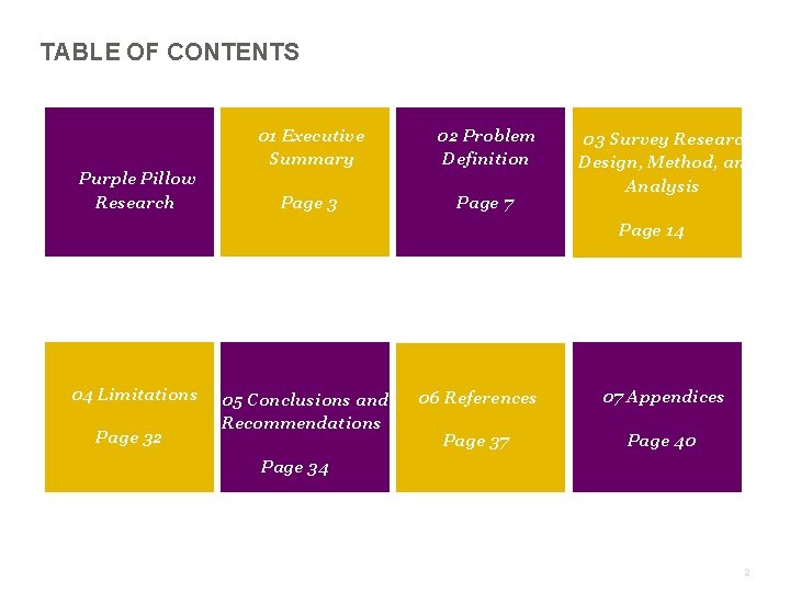 TABLE OF CONTENTS Purple Pillow Research 01 Executive Summary 02 Problem Definition Page 3