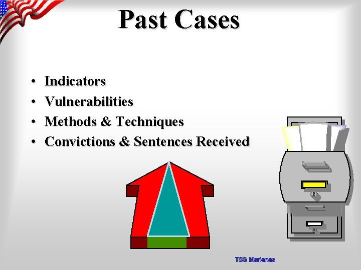 Past Cases • • Indicators Vulnerabilities Methods & Techniques Convictions & Sentences Received TSG