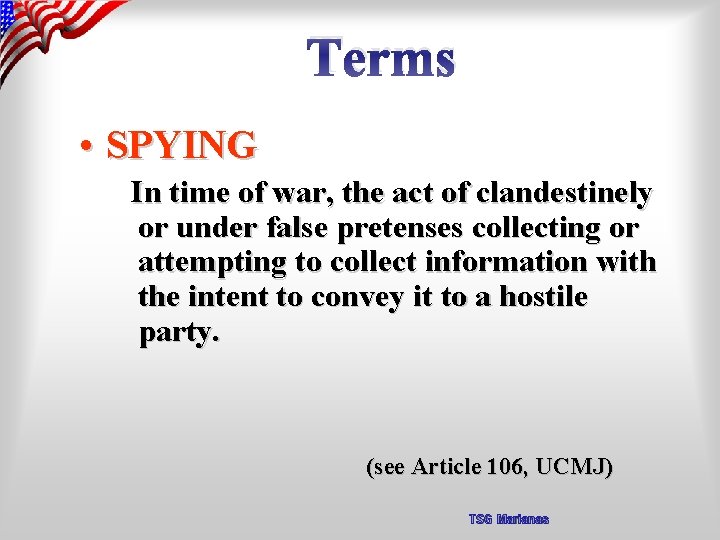 Terms • SPYING In time of war, the act of clandestinely or under false