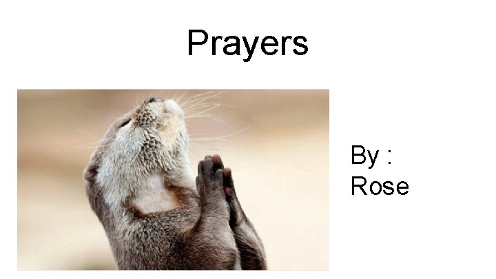 Prayers By : Rose 