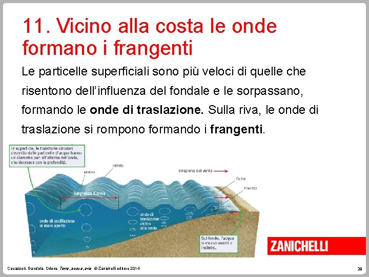 11. Vicino alla costa le onde formano i frangenti Le particelle superficiali sono più