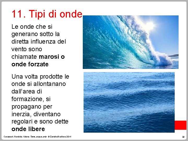 11. Tipi di onde Le onde che si generano sotto la diretta influenza del