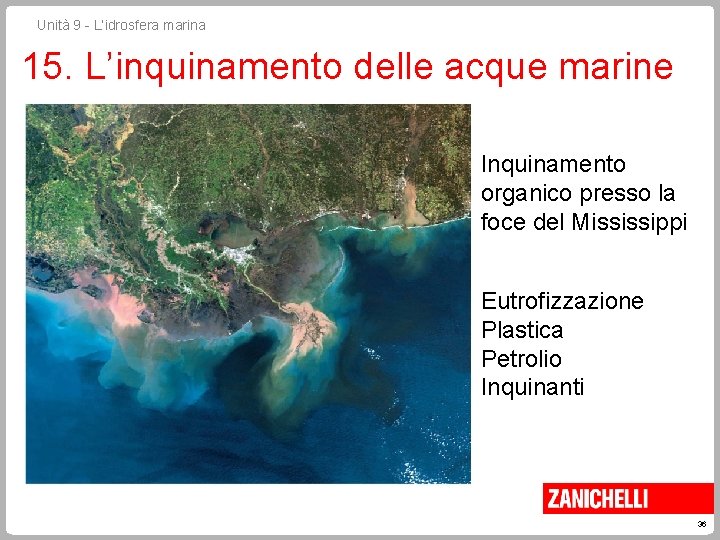 Unità 9 - L’idrosfera marina 15. L’inquinamento delle acque marine Inquinamento organico presso la