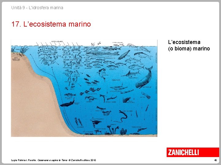 Unità 9 - L’idrosfera marina 17. L’ecosistema marino L’ecosistema (o bioma) marino Lupia Palmieri,