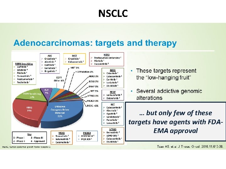 NSCLC … but only few of these targets have agents with FDAEMA approval 