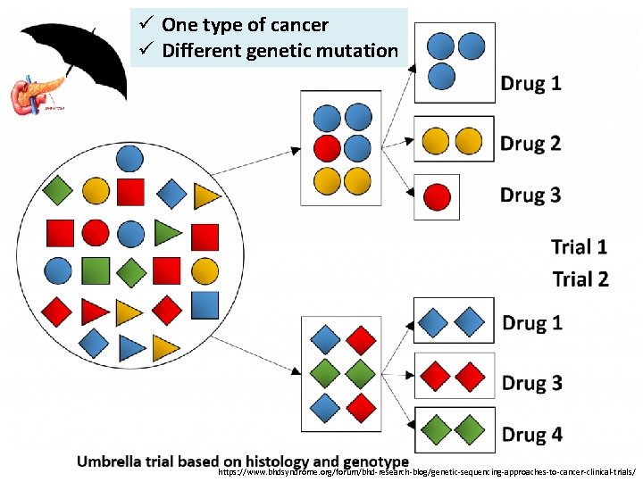 ü One type of cancer ü Different genetic mutation https: //www. bhdsyndrome. org/forum/bhd-research-blog/genetic-sequencing-approaches-to-cancer-clinical-trials/ 