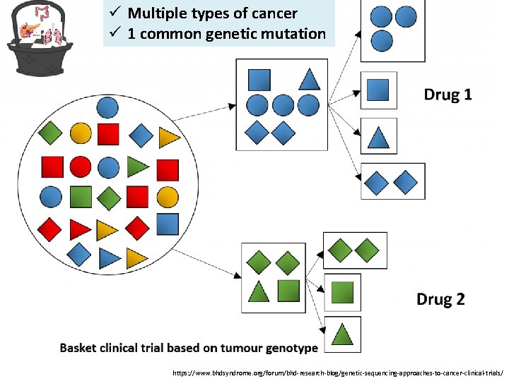 ü Multiple types of cancer ü 1 common genetic mutation https: //www. bhdsyndrome. org/forum/bhd-research-blog/genetic-sequencing-approaches-to-cancer-clinical-trials/