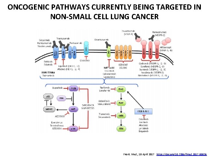 ONCOGENIC PATHWAYS CURRENTLY BEING TARGETED IN NON-SMALL CELL LUNG CANCER Front. Med. , 10