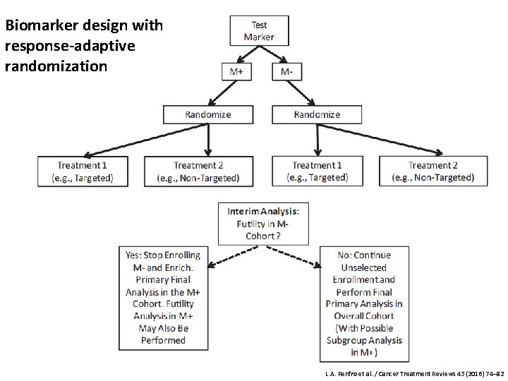 Biomarker design with response-adaptive (D) adaptive enrichment design randomization L. A. Renfro et al.