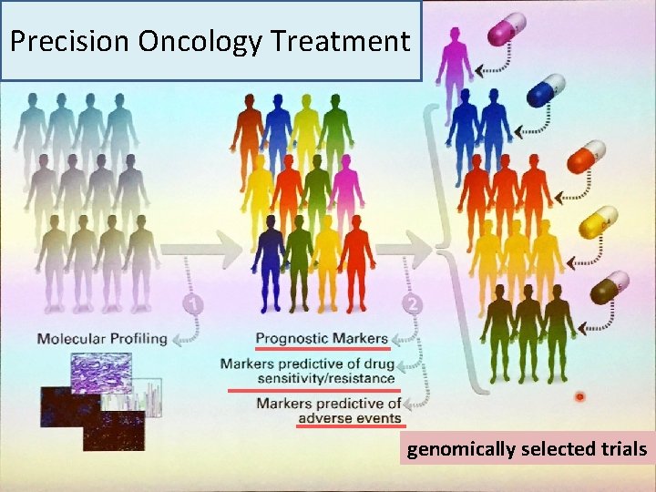 Precision Oncology Treatment genomically selected trials 