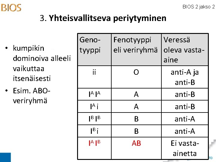BIOS 2 jakso 2 3. Yhteisvallitseva periytyminen • kumpikin dominoiva alleeli vaikuttaa itsenäisesti •