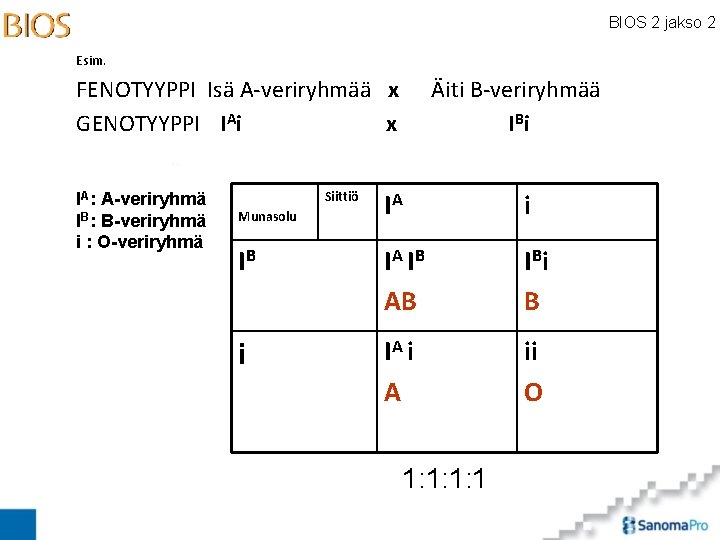 BIOS 2 jakso 2 Esim. FENOTYYPPI Isä A-veriryhmää x GENOTYYPPI IAi x IA: A-veriryhmä