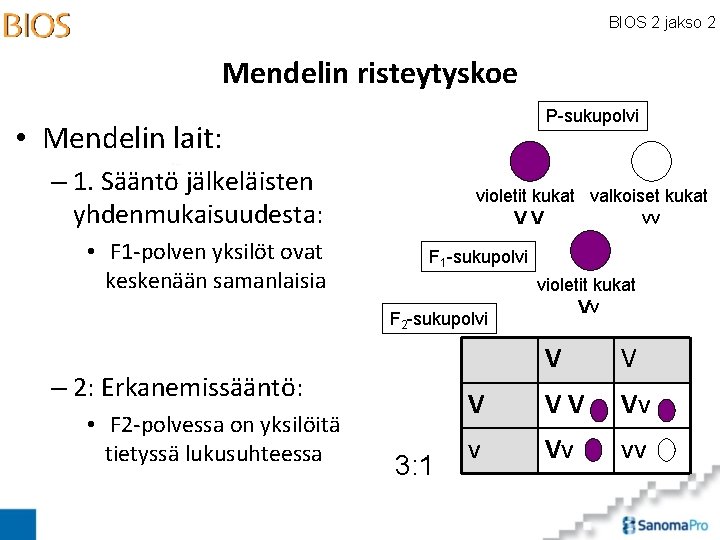 BIOS 2 jakso 2 Mendelin risteytyskoe P-sukupolvi • Mendelin lait: – 1. Sääntö jälkeläisten