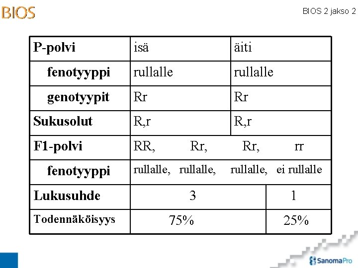 BIOS 2 jakso 2 P-polvi isä äiti fenotyyppi rullalle genotyypit Rr Rr Sukusolut R,