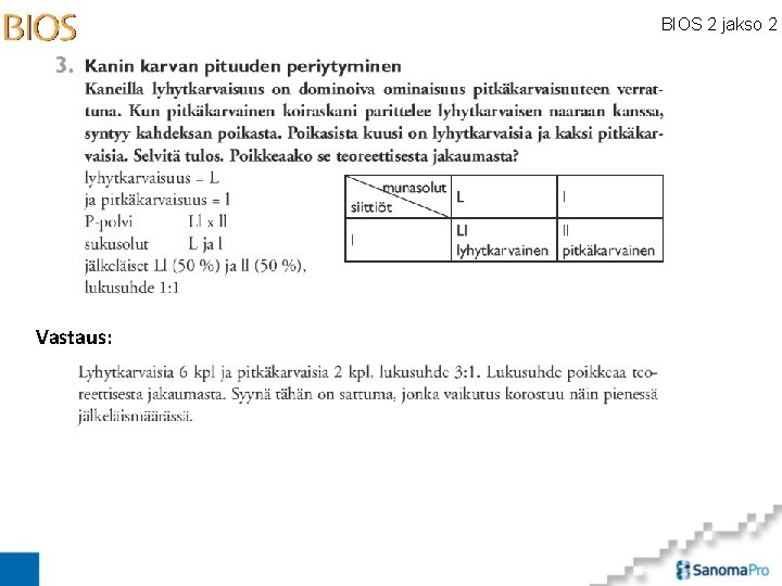 BIOS 2 jakso 2 Vastaus: 