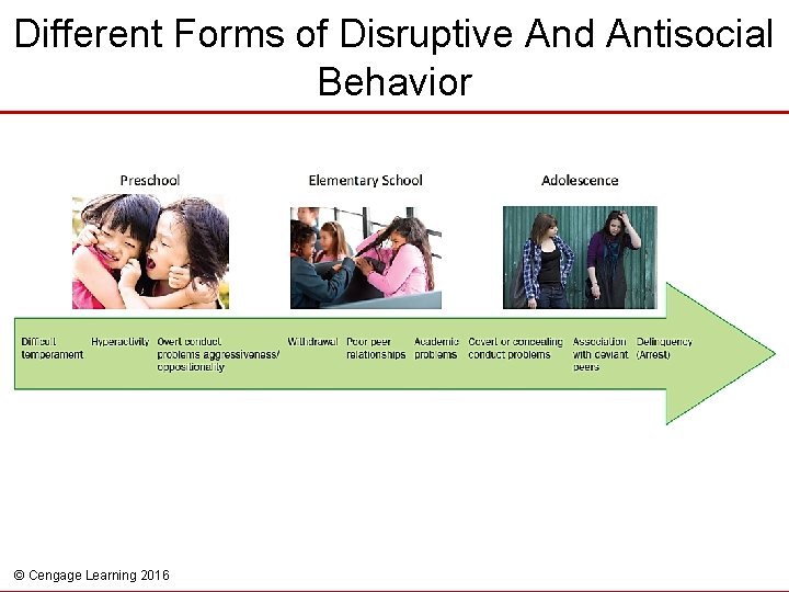 Different Forms of Disruptive And Antisocial Behavior © Cengage Learning 2016 