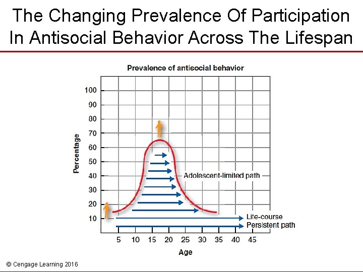 The Changing Prevalence Of Participation In Antisocial Behavior Across The Lifespan © Cengage Learning