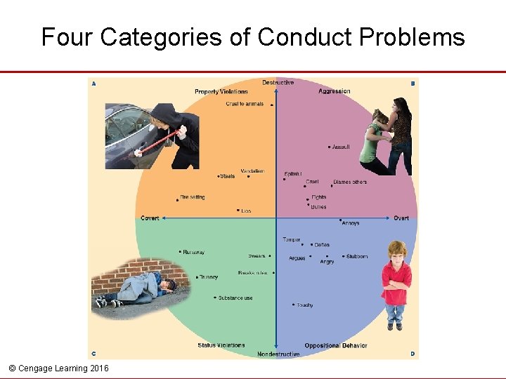 Four Categories of Conduct Problems © Cengage Learning 2016 
