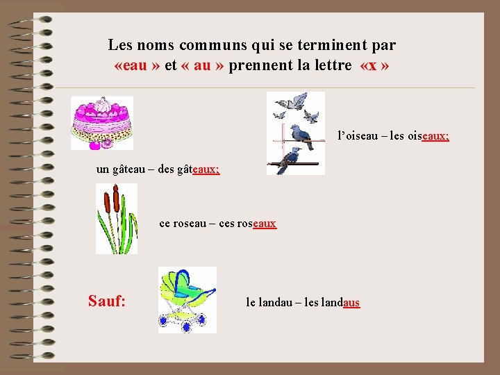 Les noms communs qui se terminent par «eau » et « au » prennent