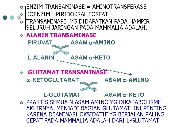 ¢ v ENZIM TRANSAMINASE = AMINOTRANSFERASE KOENZIM : PIRIDOKSAL FOSFAT TRANSAMINASE YG DIDAPATKAN PADA