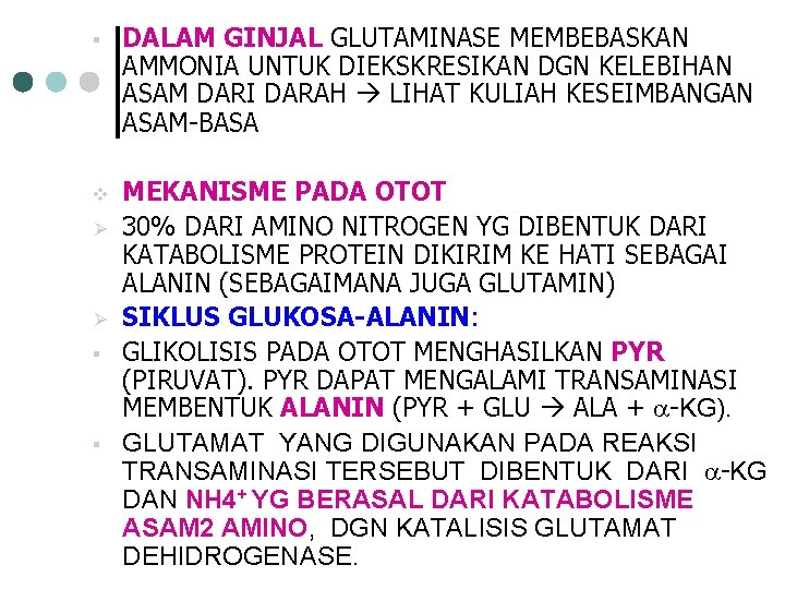 § DALAM GINJAL GLUTAMINASE MEMBEBASKAN AMMONIA UNTUK DIEKSKRESIKAN DGN KELEBIHAN ASAM DARI DARAH LIHAT