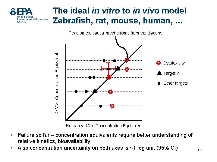 The ideal in vitro to in vivo model Zebrafish, rat, mouse, human, … In