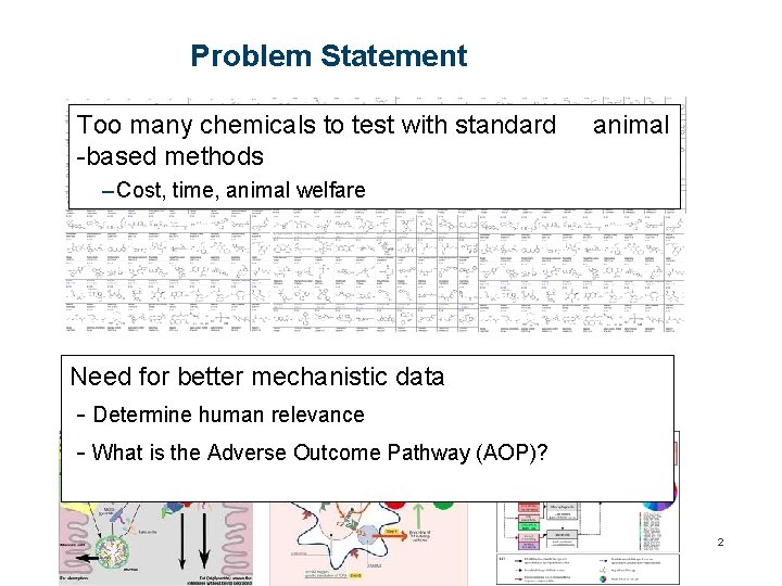 Problem Statement Too many chemicals to test with standard animal -based methods – Cost,