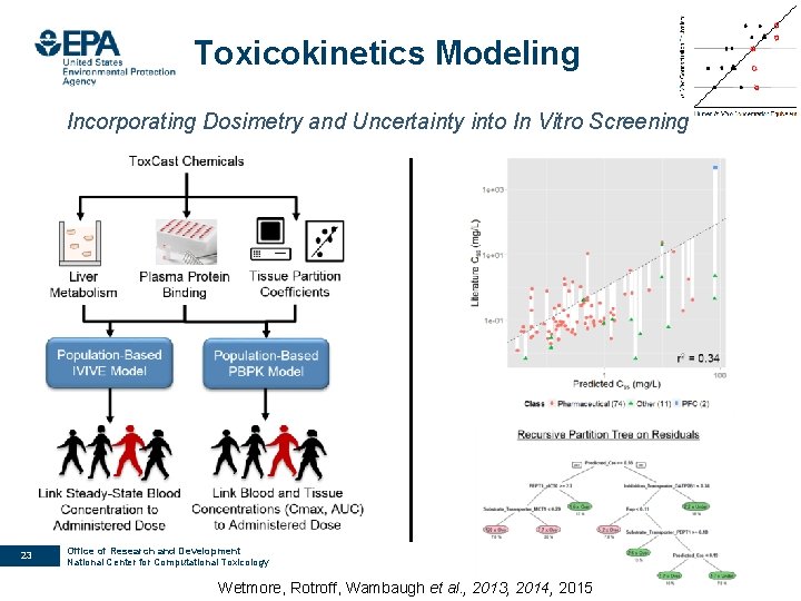 Toxicokinetics Modeling Incorporating Dosimetry and Uncertainty into In Vitro Screening 23 Office of Research
