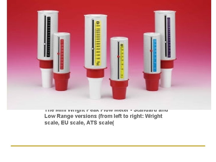  The Mini Wright Peak Flow Meter - Standard and Low Range versions (from