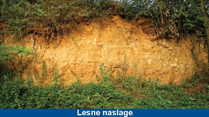 Lesne naslage 