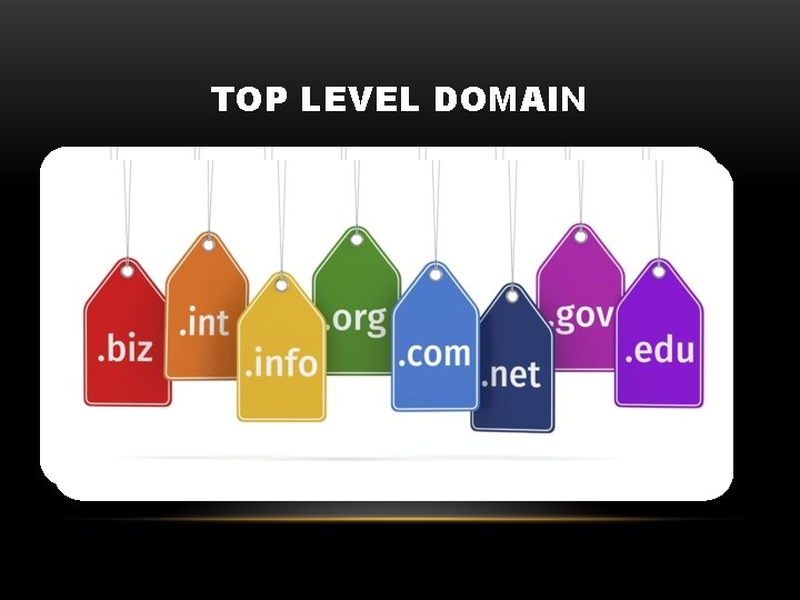TOP LEVEL DOMAIN 